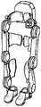 Representative patent drawing for Customizable orthotic/prosthetic braces and lightweight modular exoskeleton (US 11413210)