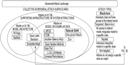 Improving AI Predictions by Factoring in How Much You Trust Each Model