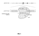 Representative patent drawing for Crispr-cas component systems, methods and compositions for sequence manipulation (US 20180305704)