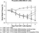 Targeting Cancer with CAR T Cells Using a Chemical Tag