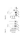 Representative patent drawing for Cell epitopes and combination of cell epitopes for use in the immunotherapy of myeloma and other cancers (US 10377797)